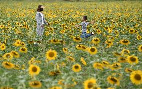 #CHINA-MID-AUTUMN FESTIVAL-HOLIDAY (CN)