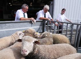 FRANCE-RENNES-SPACE 2022-EXHIBITION