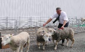 FRANCE-RENNES-SPACE 2022-EXHIBITION