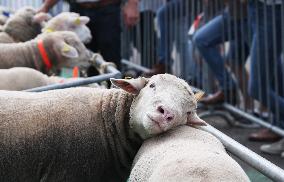 FRANCE-RENNES-SPACE 2022-EXHIBITION