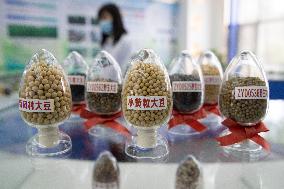 Xinhua Headlines: How China's breadbasket province ensures grain output through new technologies