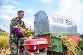 CHINA-CHONGQING-RICE-HARVEST (CN)