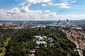 Xinhua Headlines: Decade-long conservation efforts boost biodiversity in China's Yunnan