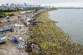 PHILIPPINES-MANILA-COASTAL CLEANUP