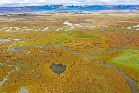 CHINA-GANSU-MAQU-WETLAND-SCENERY (CN)