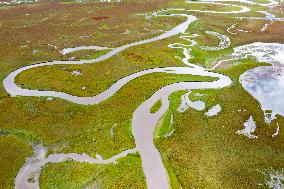 CHINA-GANSU-MAQU-WETLAND-SCENERY (CN)