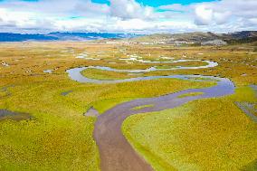 CHINA-GANSU-MAQU-WETLAND-SCENERY (CN)