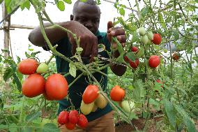 TANZANIA-DAR ES SALAAM-AGRICULTURE-YOUNG FARMER