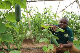 TANZANIA-DAR ES SALAAM-AGRICULTURE-YOUNG FARMER
