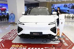 Evergrande begins mass production of electric SUV