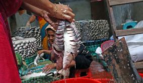 BANGLADESH-CHATTOGRAM-SALTED FISH
