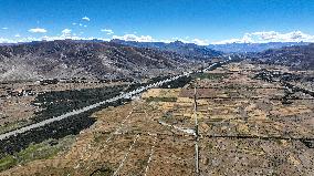 CHINA-TIBET-XIGAZE-HIGHLAND BARLEY-HARVEST (CN)