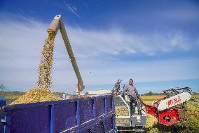 CHINA-JILIN-CHANGCHUN-RICE-HARVEST (CN)