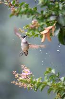 CHINA-NATURE-AUTUMN-SCENERY (CN)