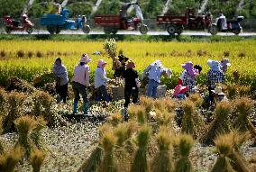 #CHINA-CHINESE FARMERS' HARVEST FESTIVAL-AUTUMN EQUINOX (CN)