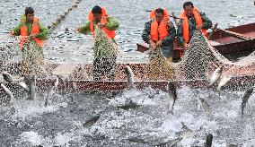 #CHINA-CHINESE FARMERS' HARVEST FESTIVAL-AUTUMN EQUINOX (CN)