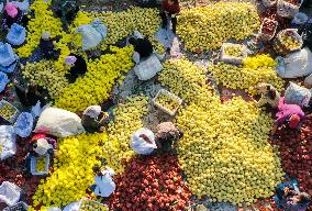 #CHINA-CHINESE FARMERS' HARVEST FESTIVAL-AUTUMN EQUINOX (CN)