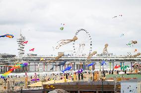 THE NETHERLANDS-THE HAGUE-KITE FESTIVAL