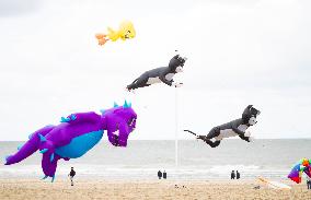 THE NETHERLANDS-THE HAGUE-KITE FESTIVAL