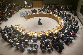 U.N. Security Council high-level meeting