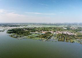 Xinhua Headlines: North China's largest freshwater lake reflects conservation benefits