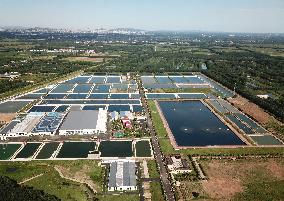 Xinhua Headlines: North China's largest freshwater lake reflects conservation benefits