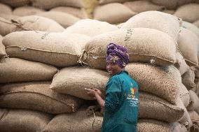 ETHIOPIA-ADDIS ABABA-CHINA-COFFEE EXPORT