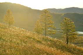 CHINA-INNER MONGOLIA-CHAIHE TOWN-AUTUMN SCENERY (CN)