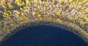 CHINA-INNER MONGOLIA-CHAIHE TOWN-AUTUMN SCENERY (CN)