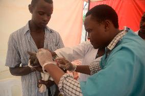 UGANDA-KAMPALA-WORLD RABIES DAY-VACCINATION