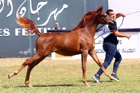 EGYPT-SHARQIA-ARABIAN HORSE FESTIVAL-BEAUTY CONTEST