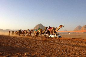 JORDAN-WADI RUM-CAMEL RACE FESTIVAL