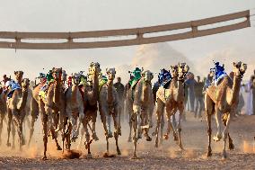 JORDAN-WADI RUM-CAMEL RACE FESTIVAL