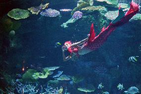 THAILAND-BANGKOK-OCEAN WORLD-MERMAID SHOW