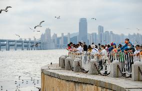 #CHINA-NATIONAL DAY HOLIDAY (CN)