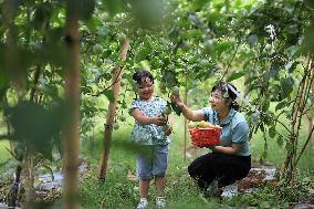 #CHINA-AUTUMN-HARVEST (CN)