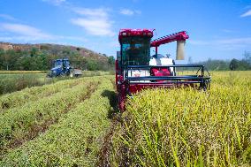 #CHINA-AUTUMN-HARVEST (CN)