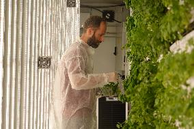 ISRAEL-NETANYA-VERTICAL FARM