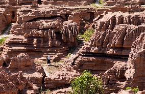 CHINA-CHONGQING-RED STONE FOREST GEOPARK (CN)