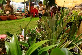 SUDAN-KHARTOUM-CACTUS AND SUCCULENT EXHIBITION