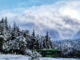 CHINA-SICHUAN-JIUZHAIGOU-SNOW SCENERY (CN)