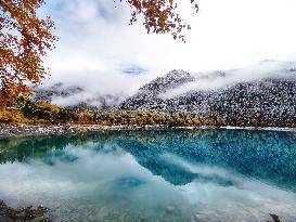 CHINA-SICHUAN-JIUZHAIGOU-SNOW SCENERY (CN)