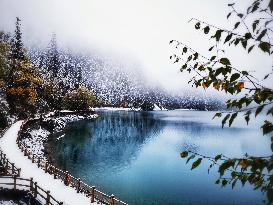 CHINA-SICHUAN-JIUZHAIGOU-SNOW SCENERY (CN)