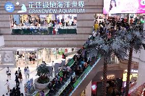 Xinhua Headlines: Holiday consumption boom shows growth potential of Chinese market