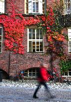 SWEDEN-STOCKHOLM-AUTUMN-SCENERY