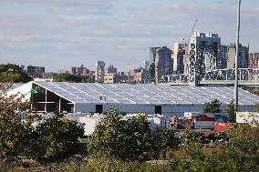 U.S.-NEW YORK-RANDALL'S ISLAND-ASYLUM