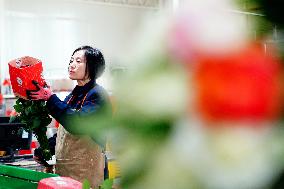 CHINA-SHANDONG-JUXIAN COUNTY-CUT FLOWER-INDUSTRY (CN)