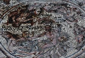 SYRIA-HOMS-AL-RASTAN-ROMAN MOSAIC PANEL-DISCOVERY
