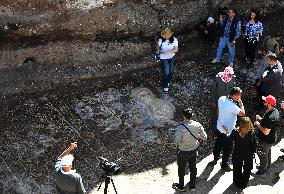 SYRIA-HOMS-AL-RASTAN-ROMAN MOSAIC PANEL-DISCOVERY