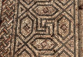 SYRIA-HOMS-AL-RASTAN-ROMAN MOSAIC PANEL-DISCOVERY